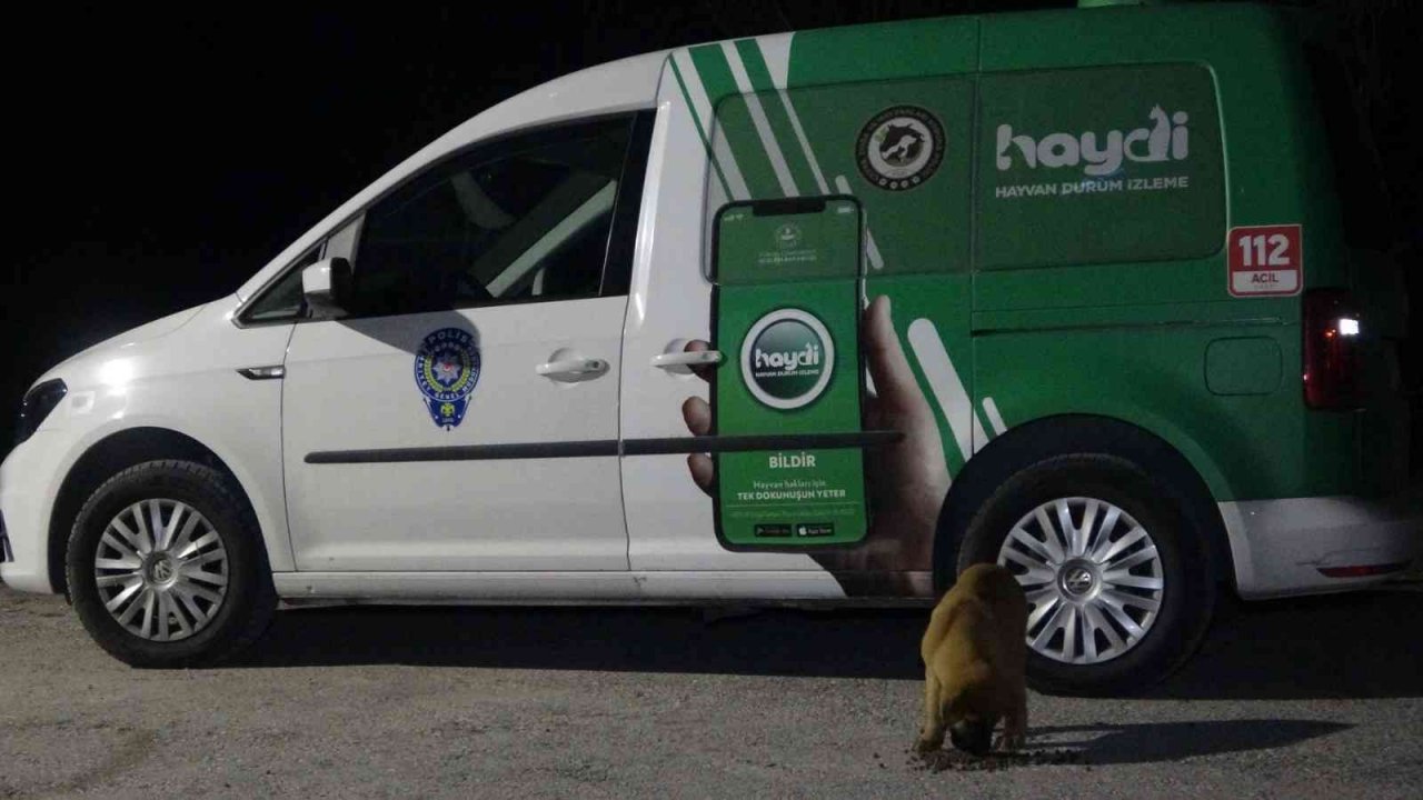 Uşak polisi yeni yılda da sokak hayvanlarını unutmadı