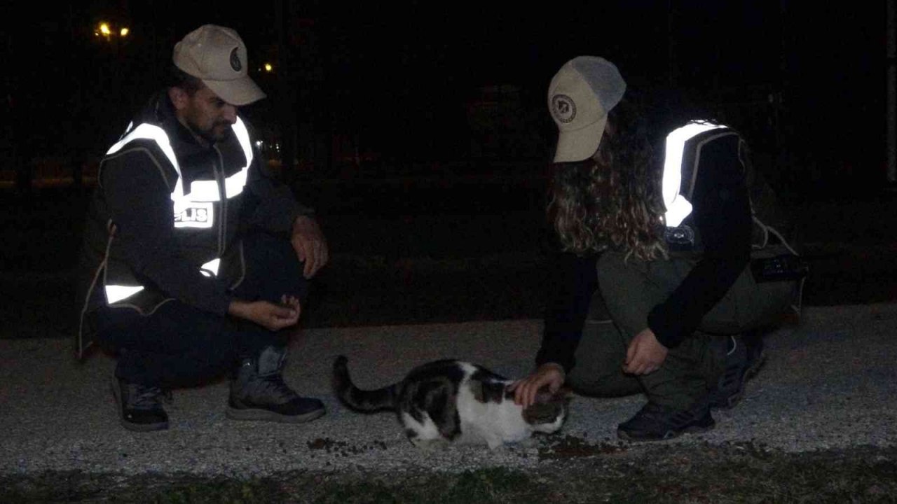 Uşak polisi yeni yılda da sokak hayvanlarını unutmadı