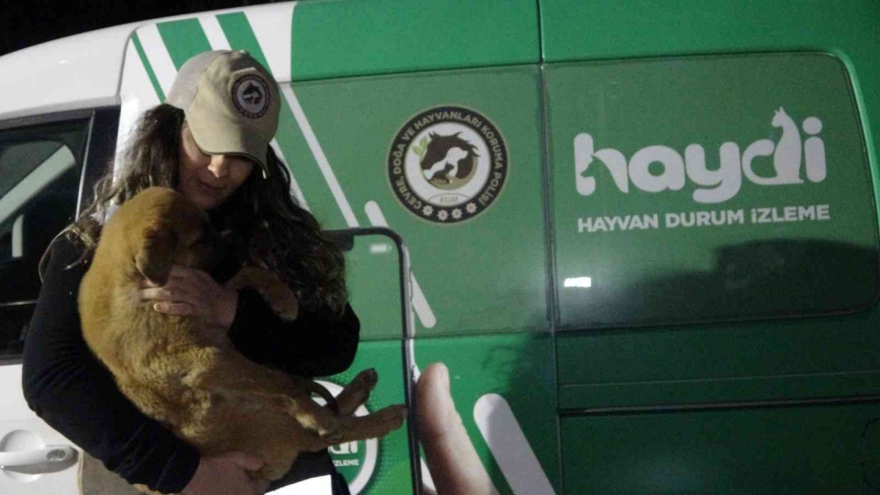 Uşak polisi yeni yılda da sokak hayvanlarını unutmadı