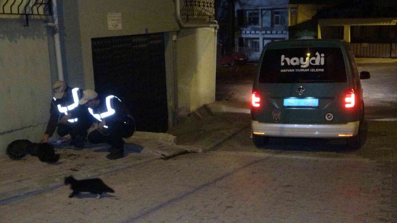 Uşak polisi yeni yılda da sokak hayvanlarını unutmadı