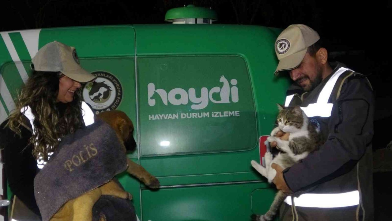 Uşak polisi yeni yılda da sokak hayvanlarını unutmadı