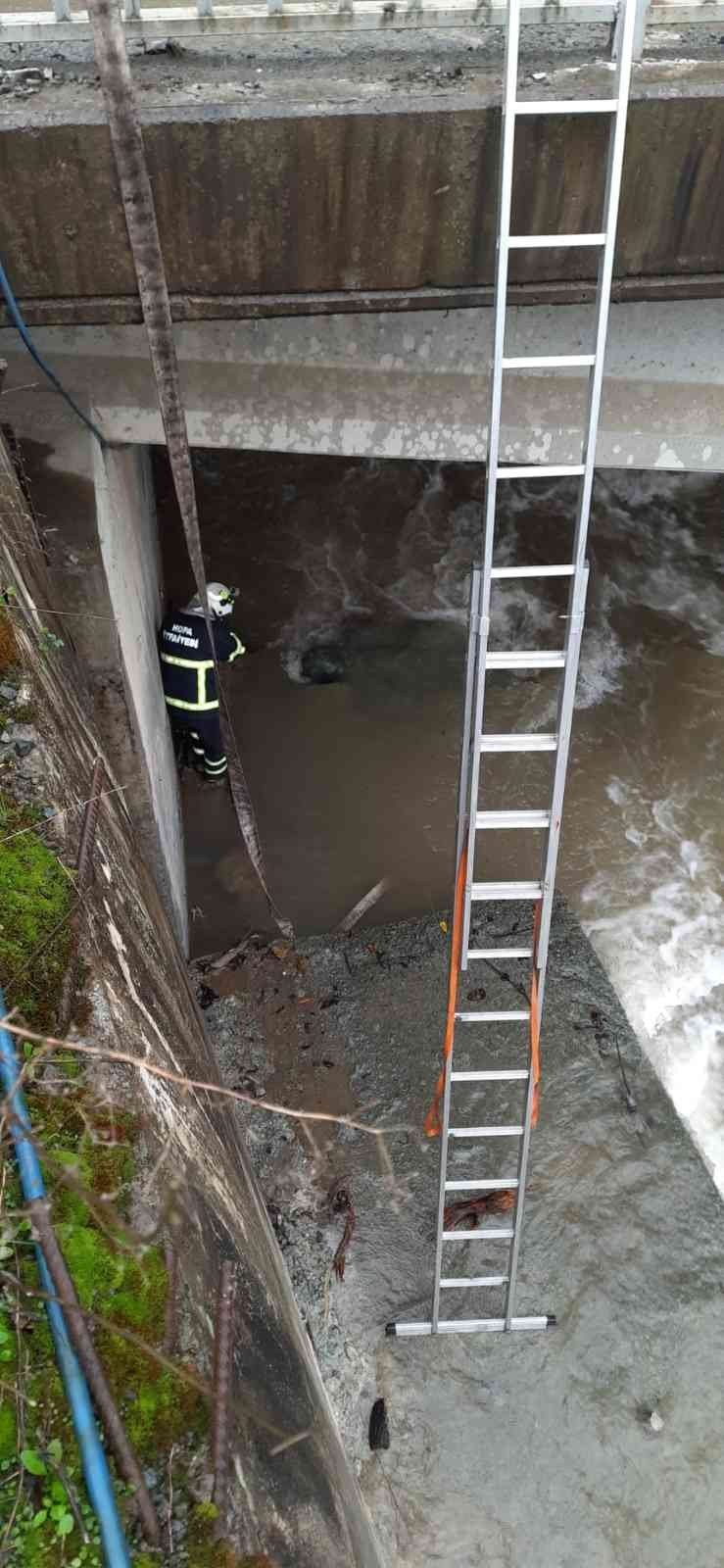 Dereye düşen köpeği itfaiye ekipleri kurtardı