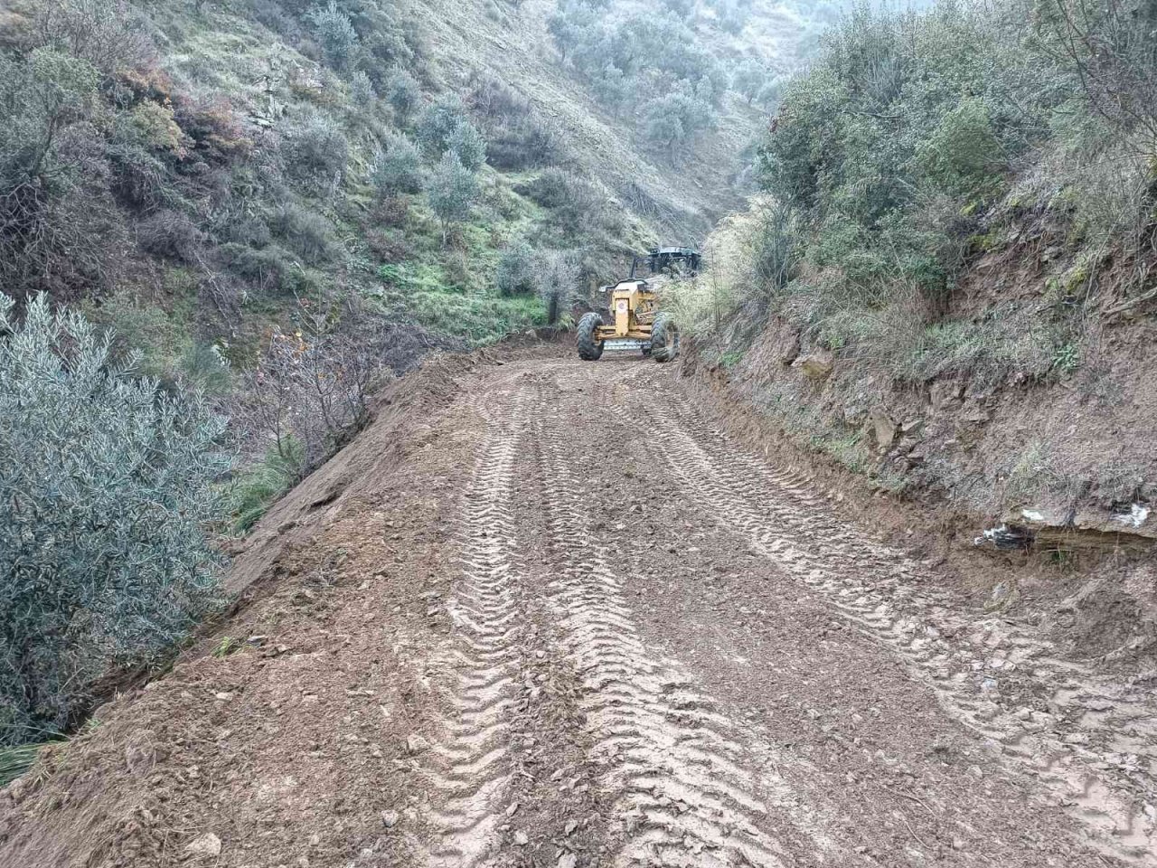 Efeler Belediyesi zeytin üreticilerine rahat bir nefes aldırdı