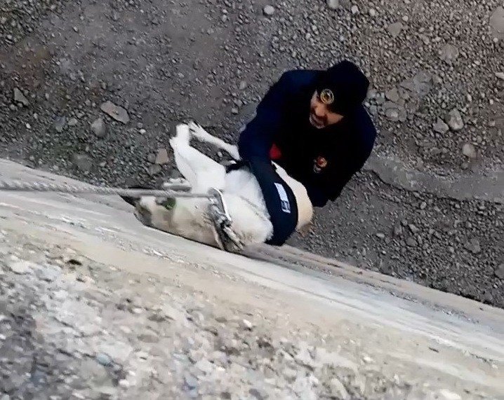 Kanala düşen köpeği itfaiye kurtardı