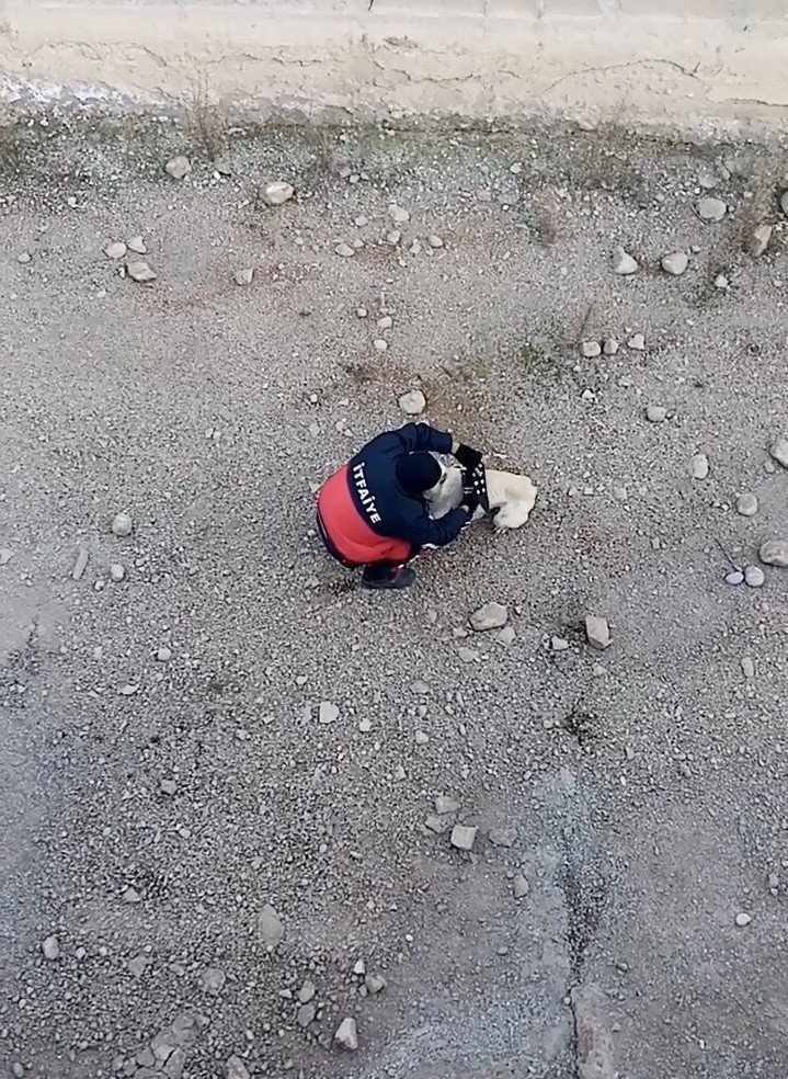 Kanala düşen köpeği itfaiye kurtardı