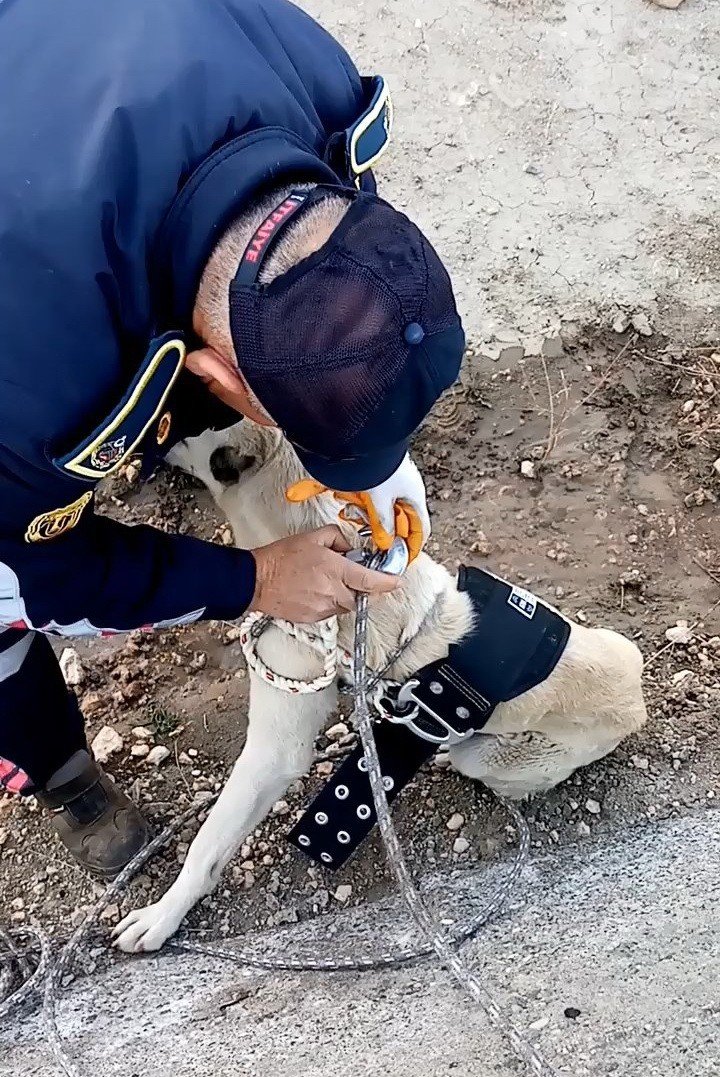 Kanala düşen köpeği itfaiye kurtardı