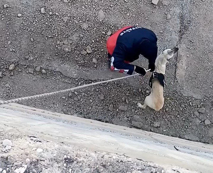 Kanala düşen köpeği itfaiye kurtardı