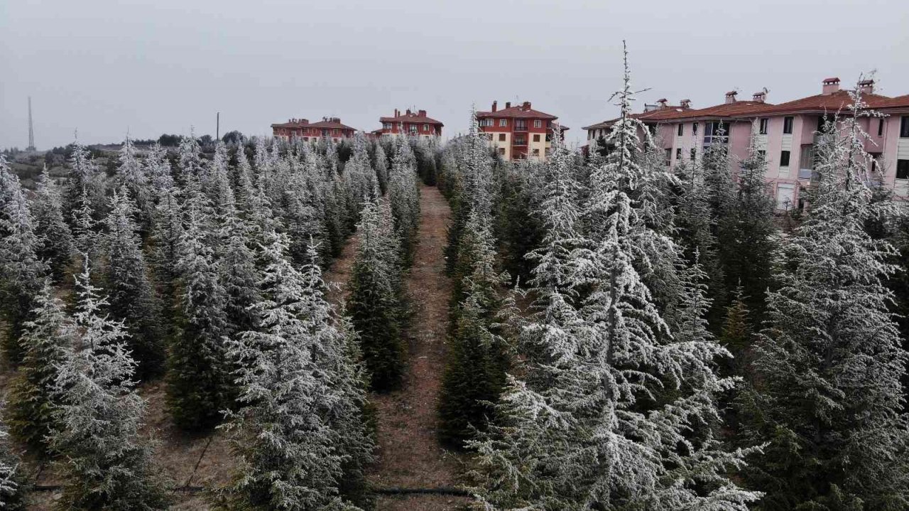 Eskişehir’de etkili olan kırağı eşsiz manzaralar sundu