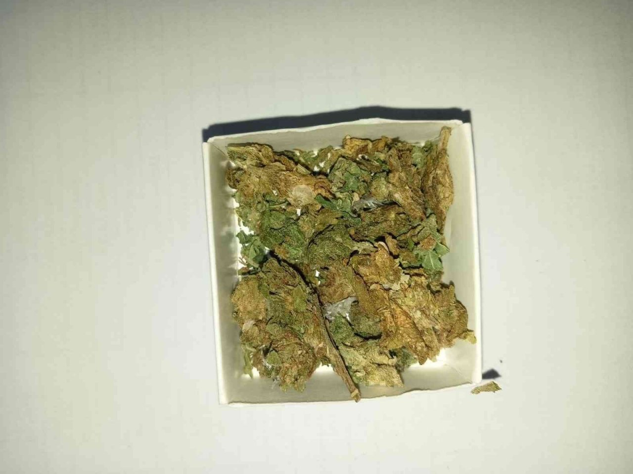 Otobüste seyahat ederken uyuşturucu ile yakalandılar