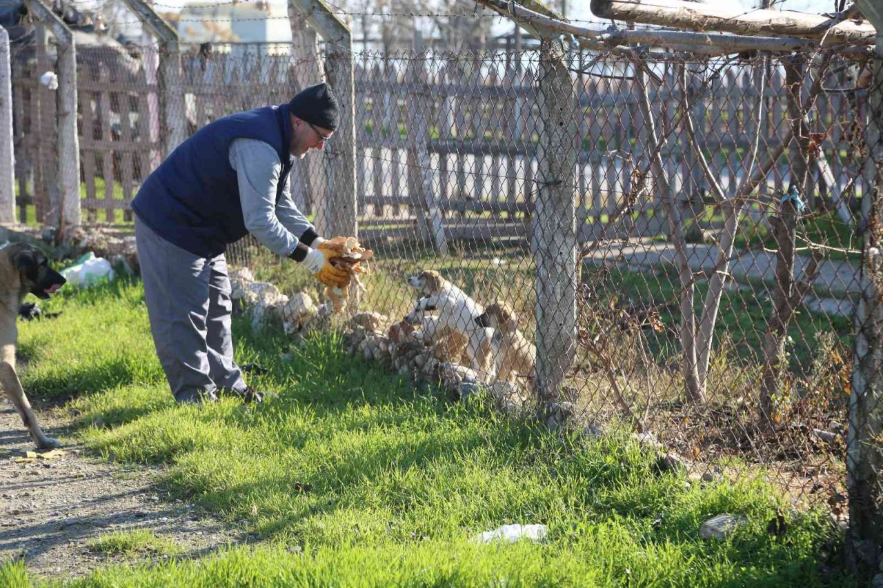 Efeler Belediyesi ekipleri israfı önleyerek can dostları besliyor