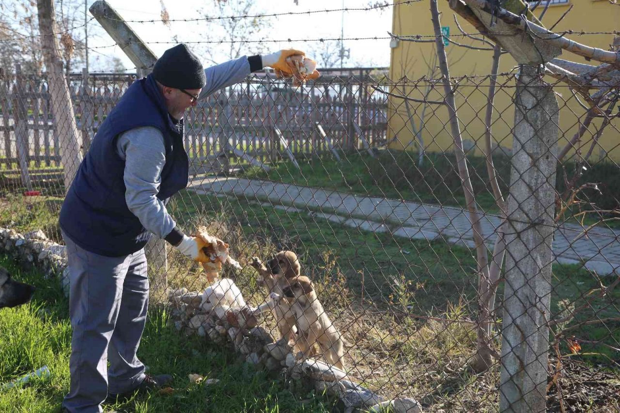 Efeler Belediyesi ekipleri israfı önleyerek can dostları besliyor