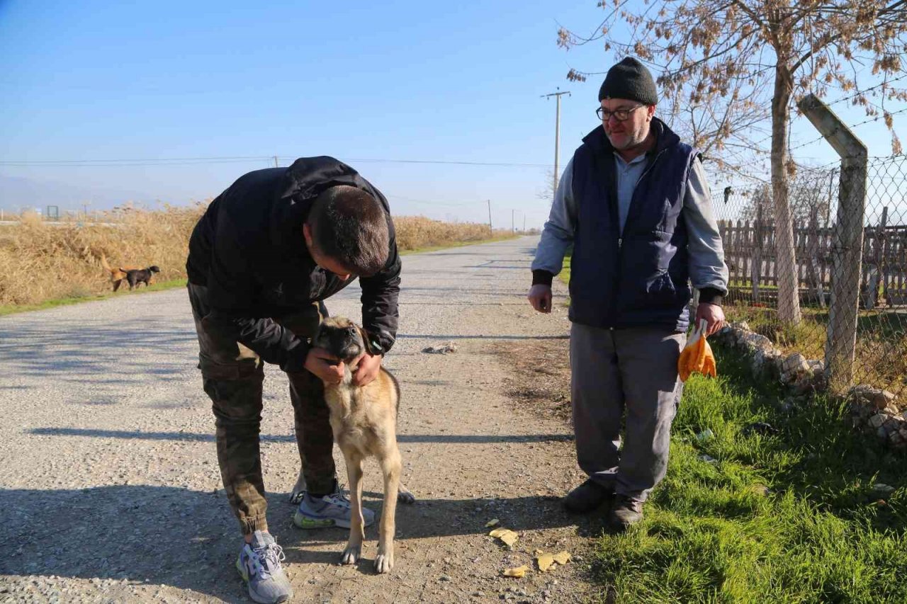 Efeler Belediyesi ekipleri israfı önleyerek can dostları besliyor