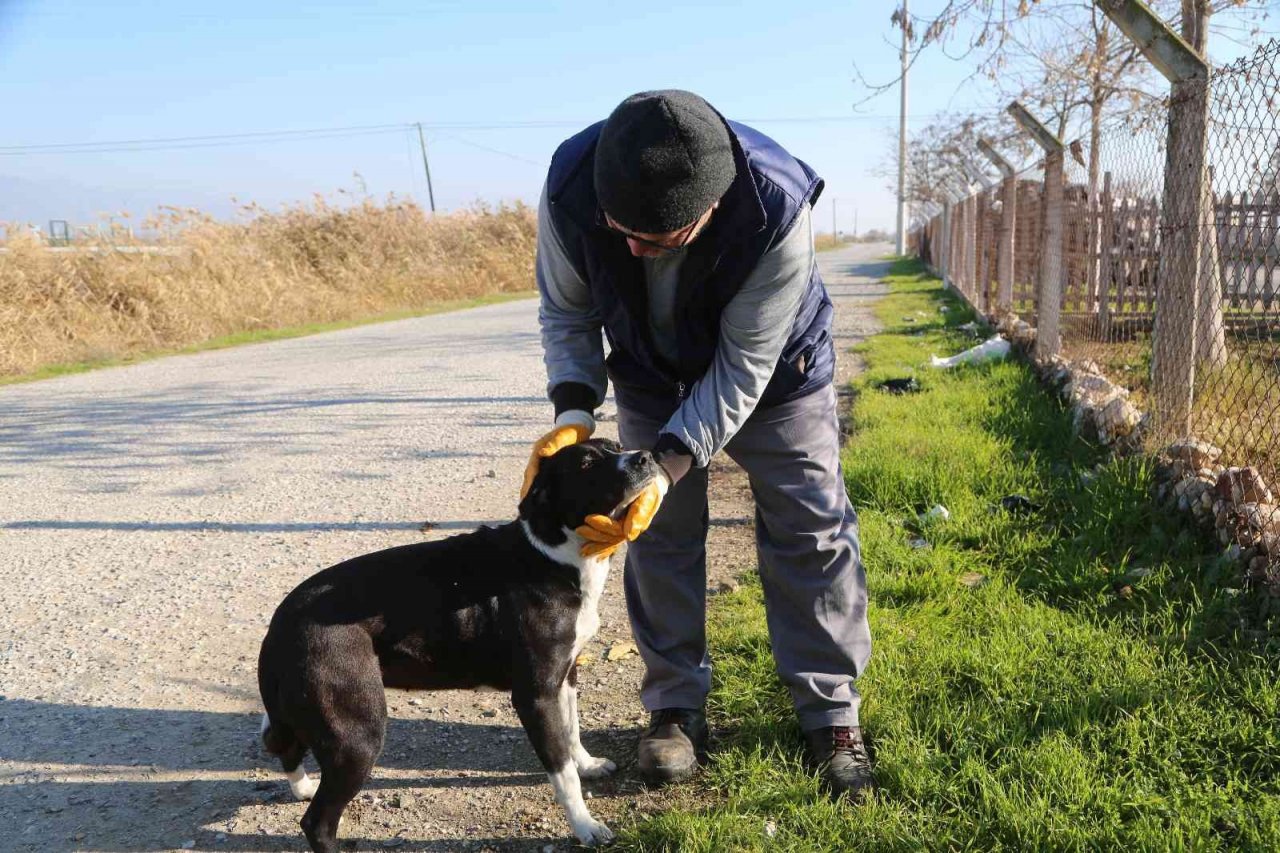 Efeler Belediyesi ekipleri israfı önleyerek can dostları besliyor