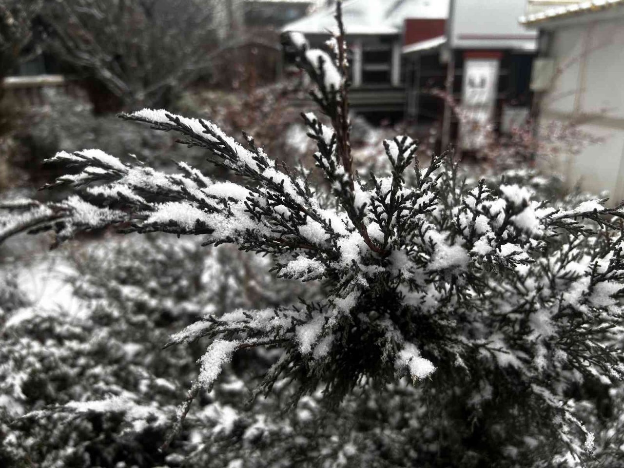 Erzurum güne karla uyandı