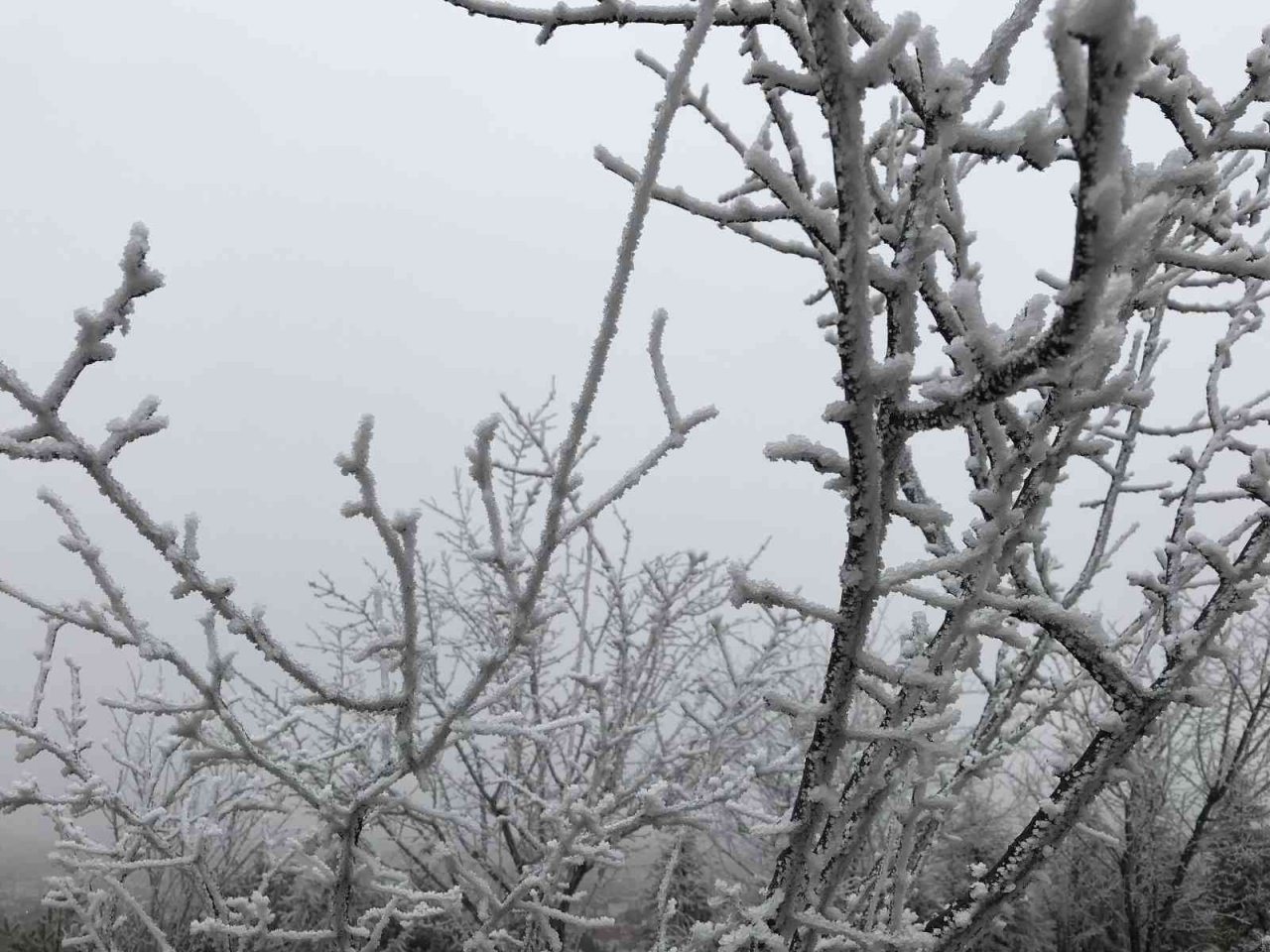 Eskişehir’de etkili olan kırağı eşsiz manzaralar sundu