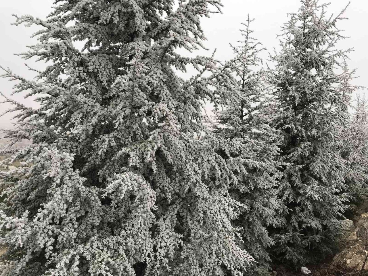 Eskişehir’de etkili olan kırağı eşsiz manzaralar sundu