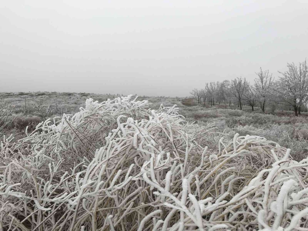 Eskişehir’de etkili olan kırağı eşsiz manzaralar sundu
