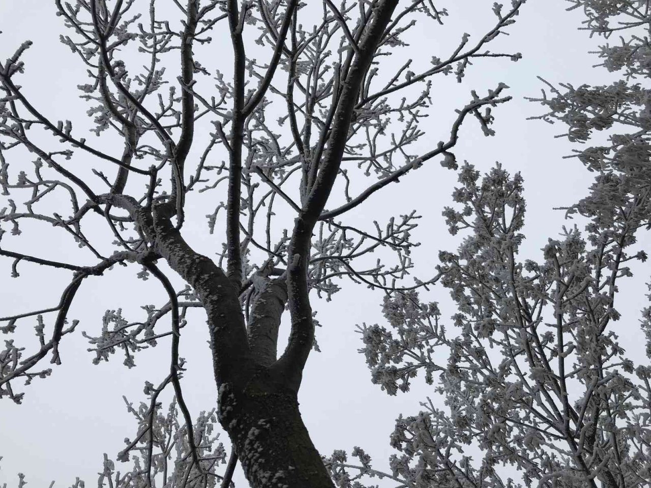 Eskişehir’de etkili olan kırağı eşsiz manzaralar sundu