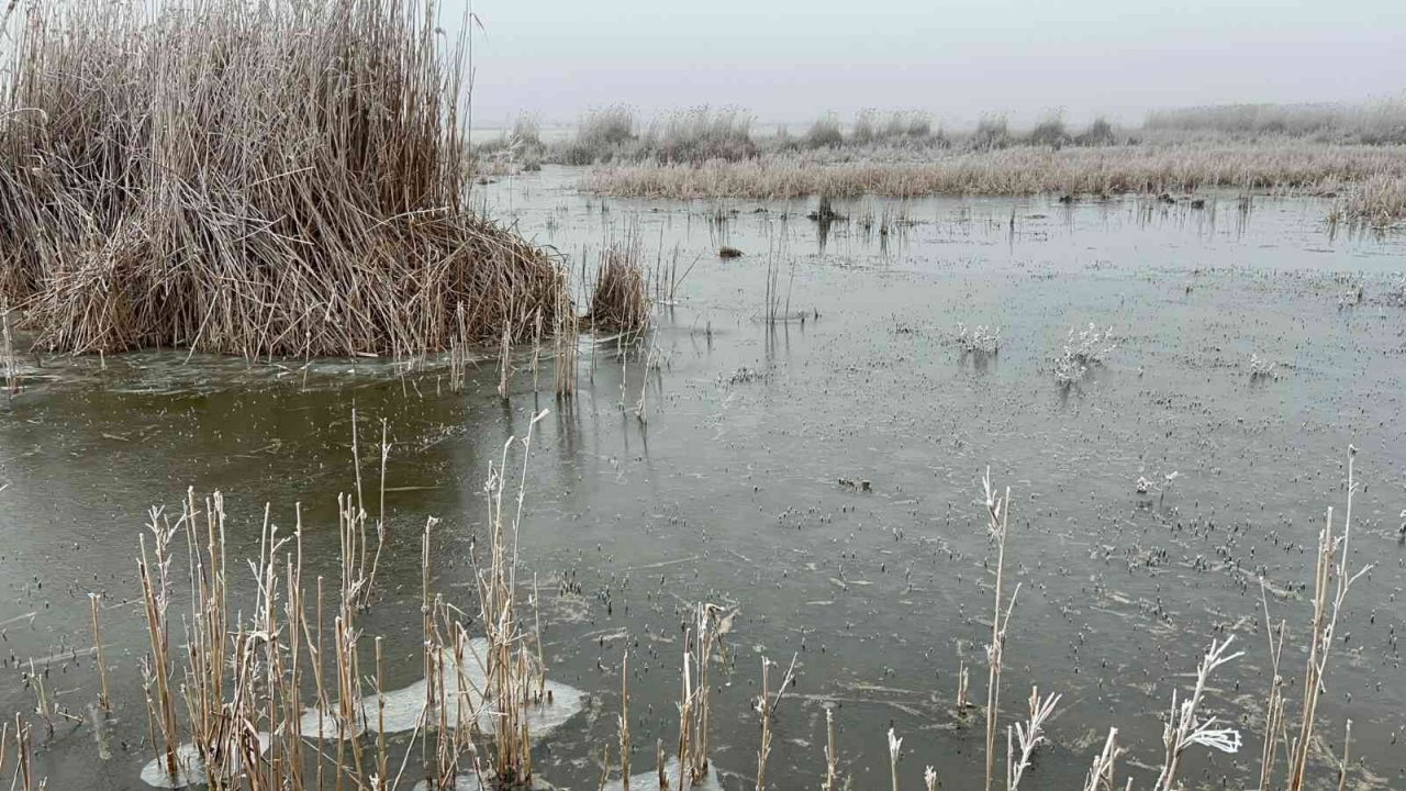 Eber Gölü dondu