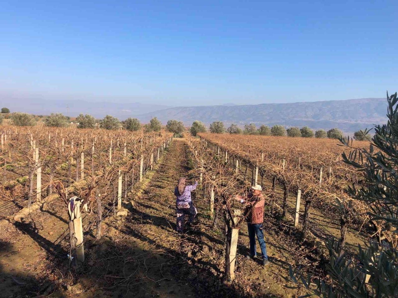 İşçi ücretleri artınca iş başa düştü