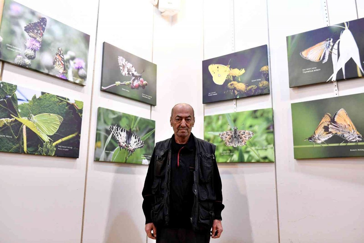 Bülent Akbaş’ın ’Mersin Kelebekleri’ fotoğraf sergisi açıldı