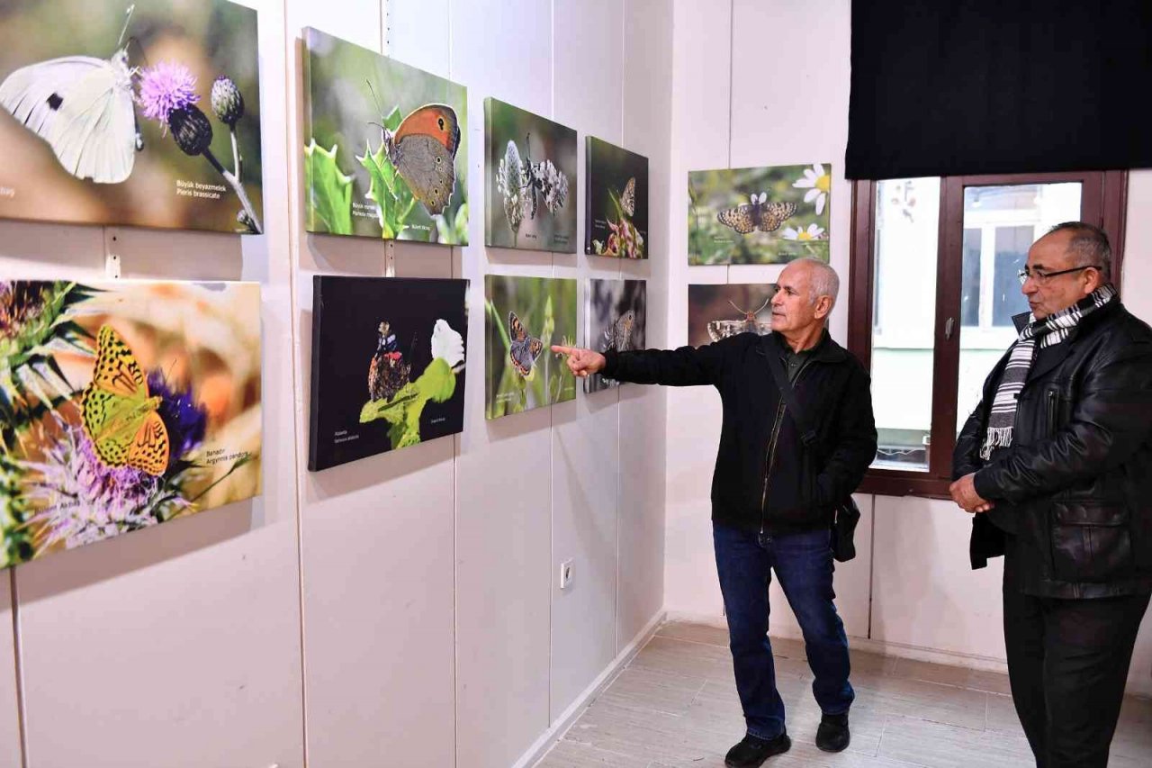 Bülent Akbaş’ın ’Mersin Kelebekleri’ fotoğraf sergisi açıldı