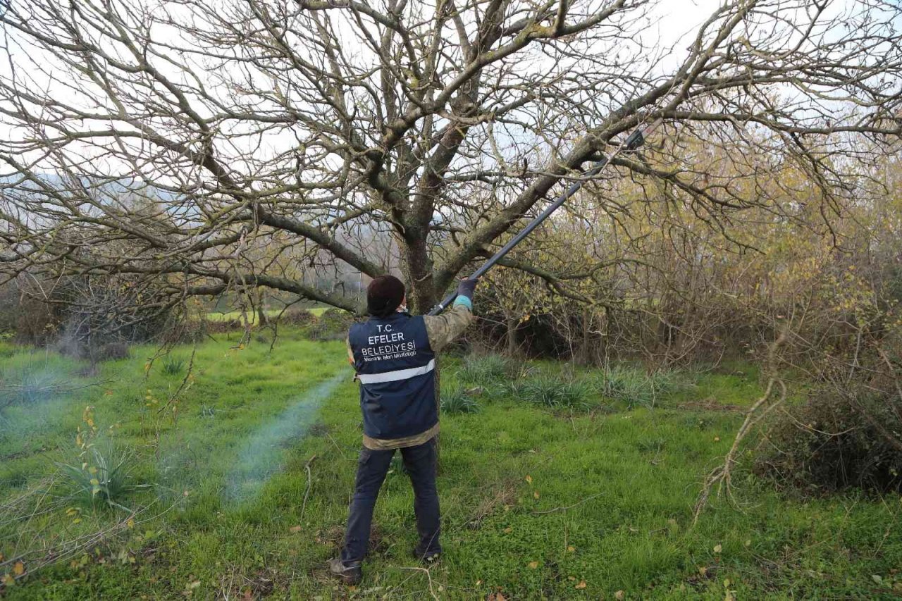 Efeler’in mezarlıklarında budama mesaisi başladı