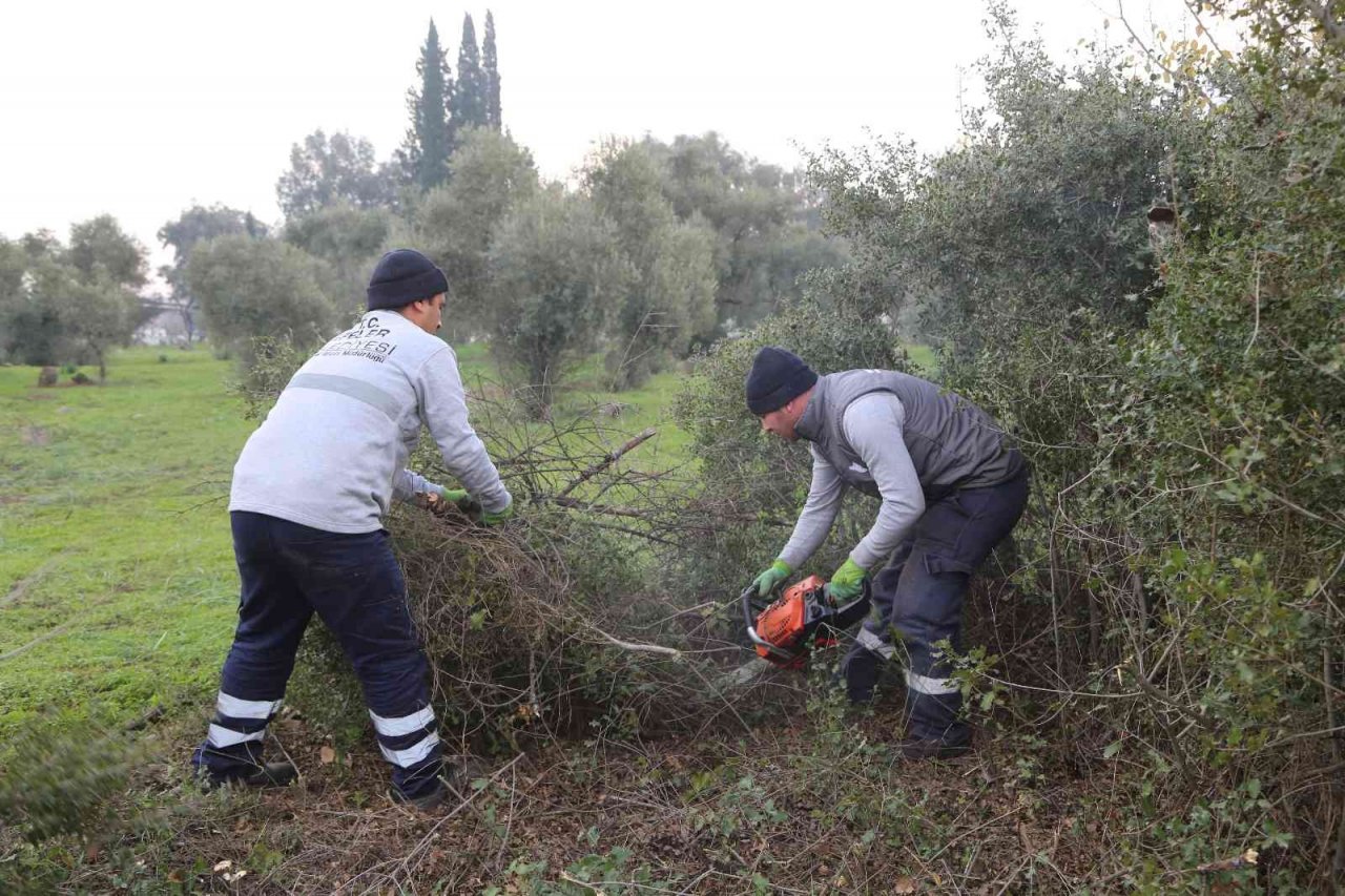 Efeler’in mezarlıklarında budama mesaisi başladı