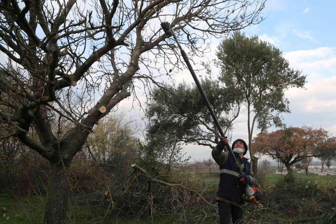 Efeler’in mezarlıklarında budama mesaisi başladı