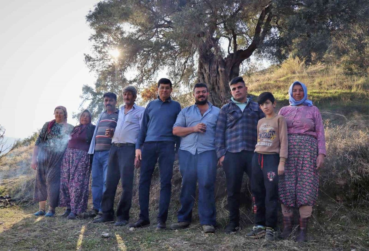 Başkan Özcan zeytin hasadına katıldı, üreticilerle bir araya geldi