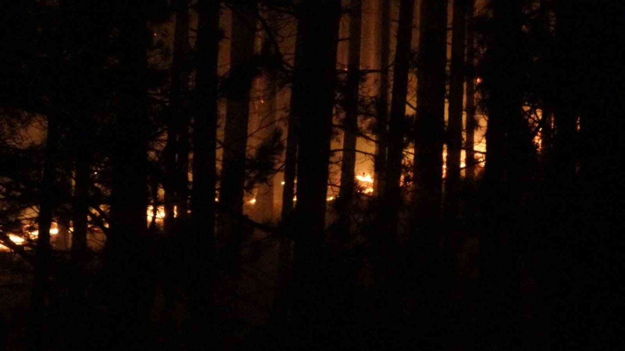 Kaz Dağları’nda ormanlık alanda örtü yangını çıktı