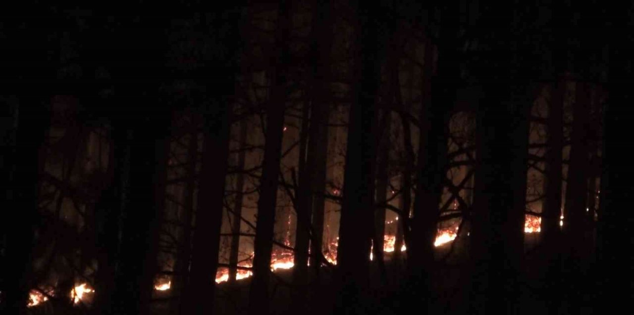 Kaz Dağları’nda ormanlık alanda örtü yangını çıktı