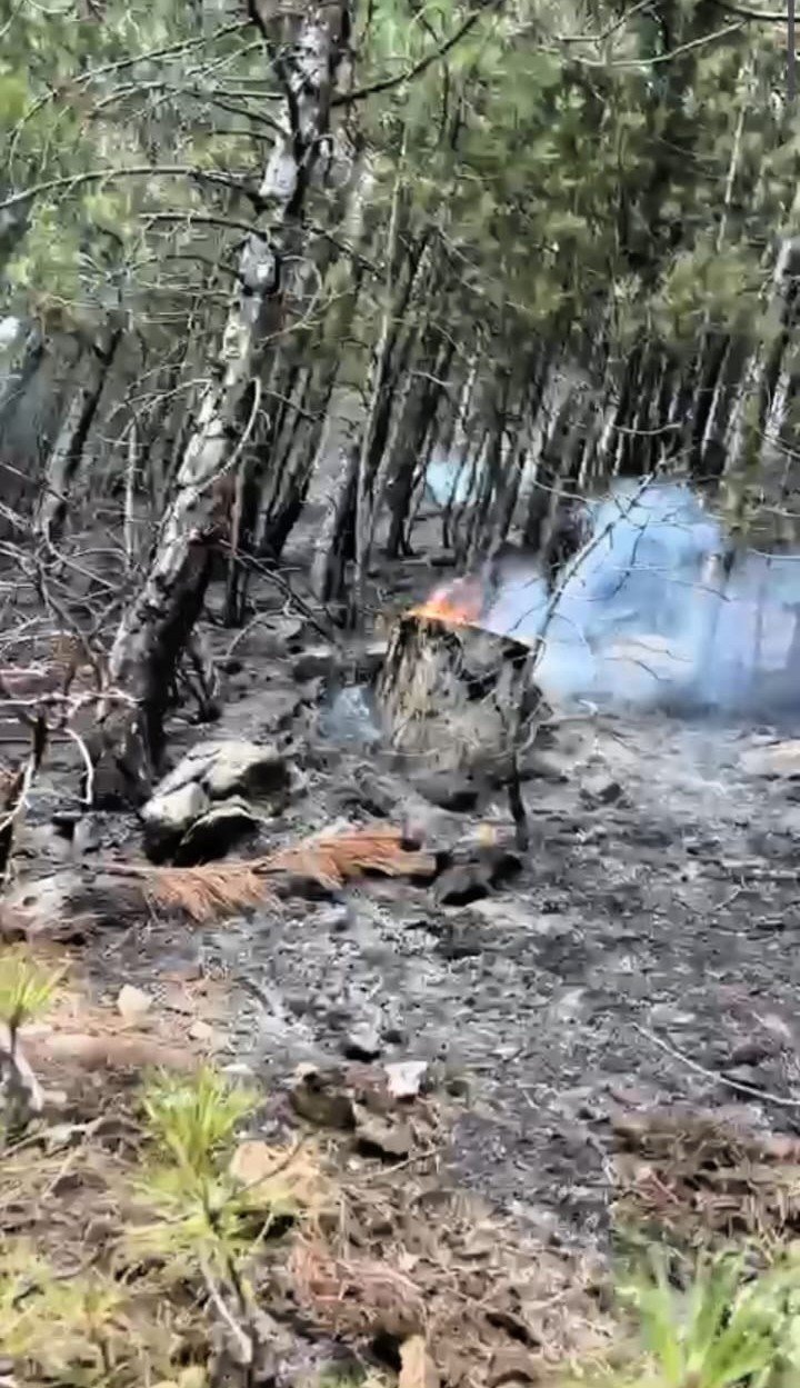 Sarp arazide devam eden yangın kısmen kontrol altına alındı