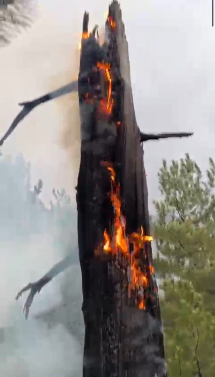 Sarp arazide devam eden yangın kısmen kontrol altına alındı