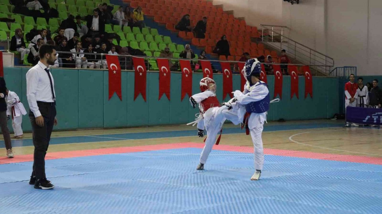 Taekwondo il şampiyonası Elazığ’da başladı