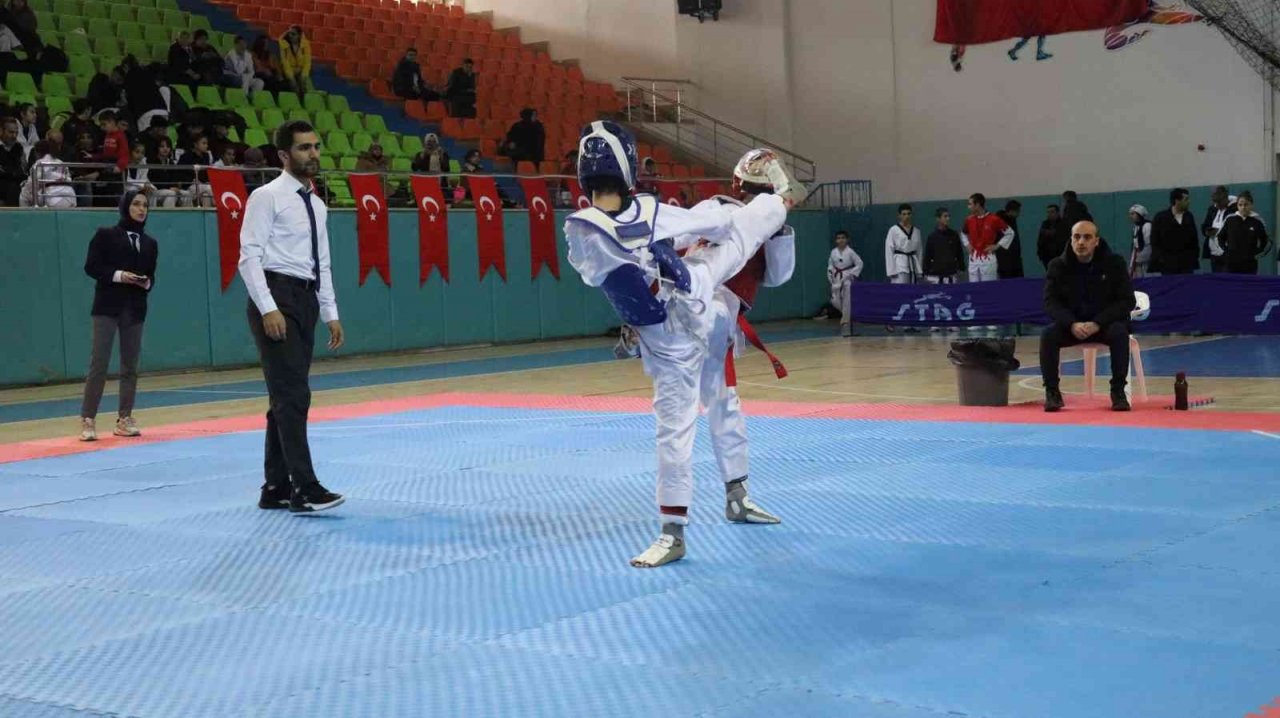 Taekwondo il şampiyonası Elazığ’da başladı