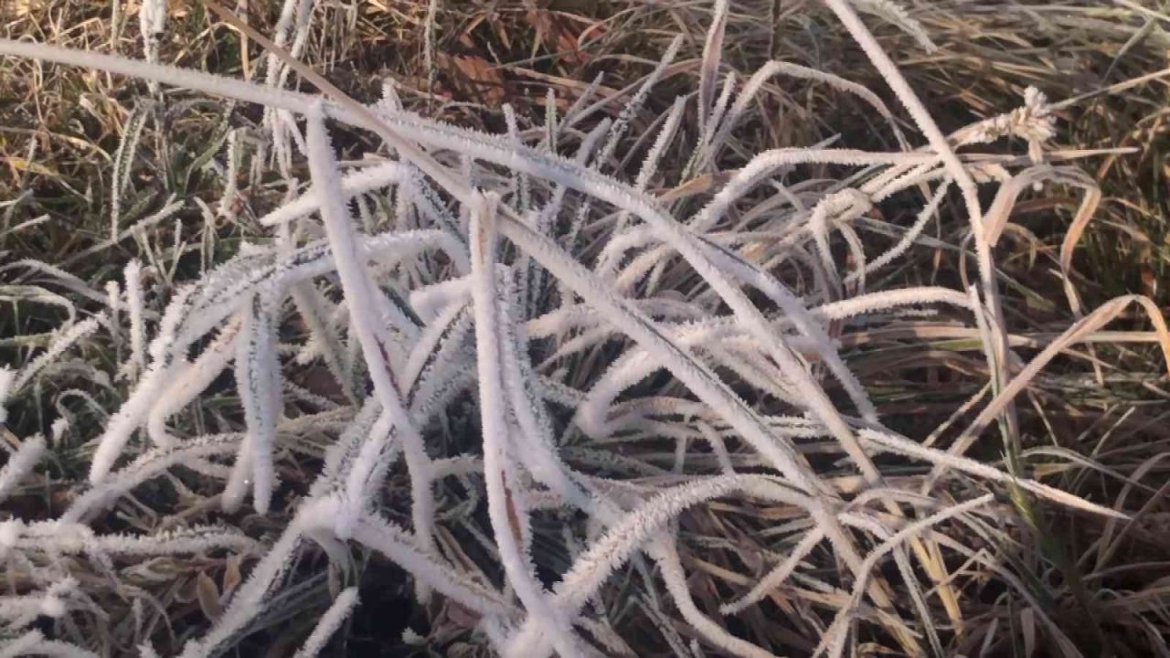Hava sıcaklığının eksi 11’e düştüğü Erzurum’da her yer buz tuttu
