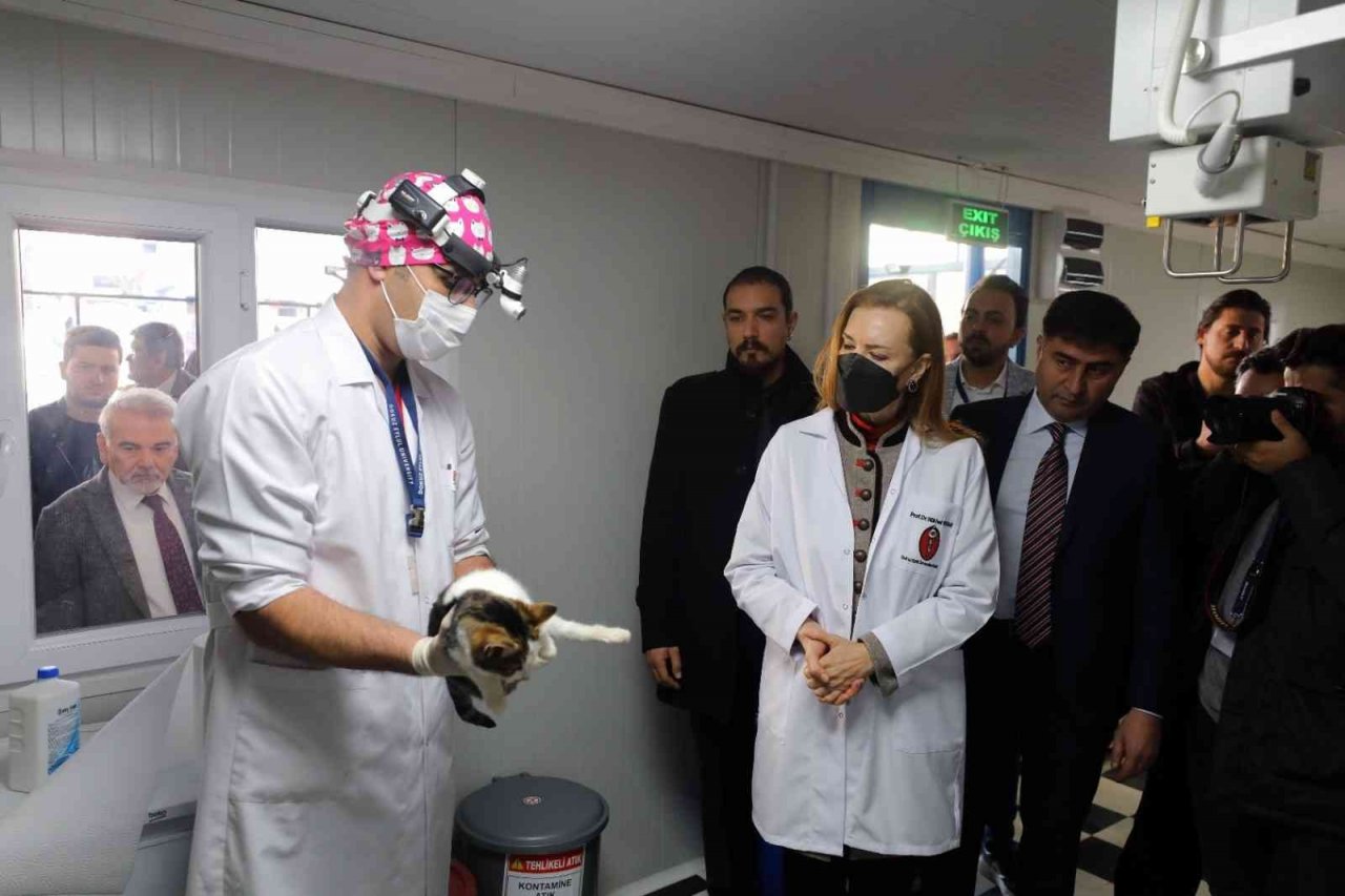 Dokuz Eylül’den sokak hayvanlarına şefkat eli