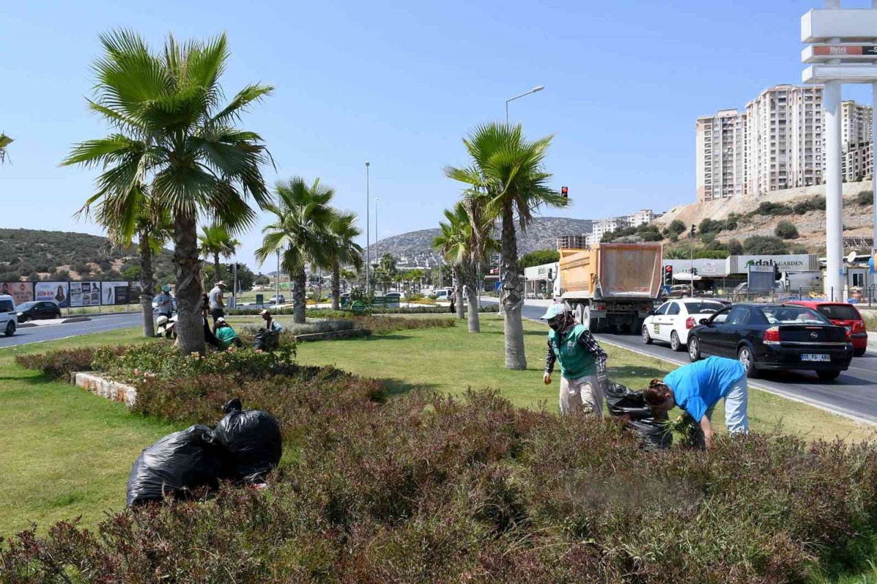 Kuşadası Belediyesi bir yılda yeşile 18 milyon 415 bin TL’lik yatırım yaptı