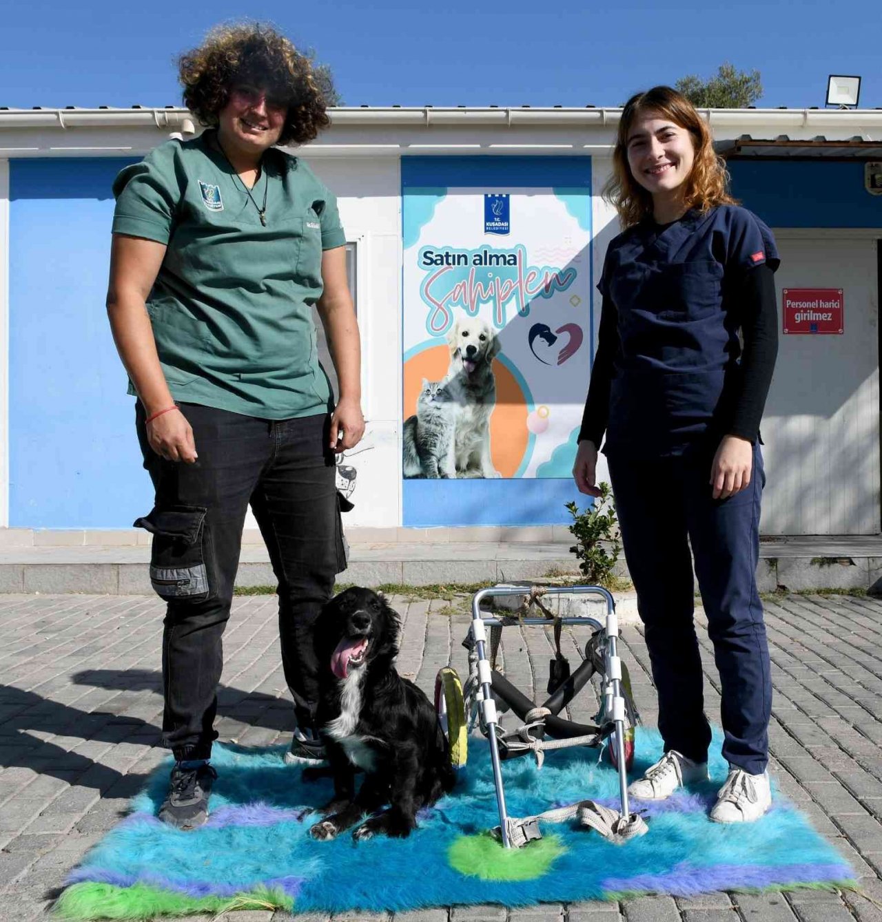 Kuşadası’nda 2022 yılında 4 bin 308 hayvana ev sahipliği yapıldı