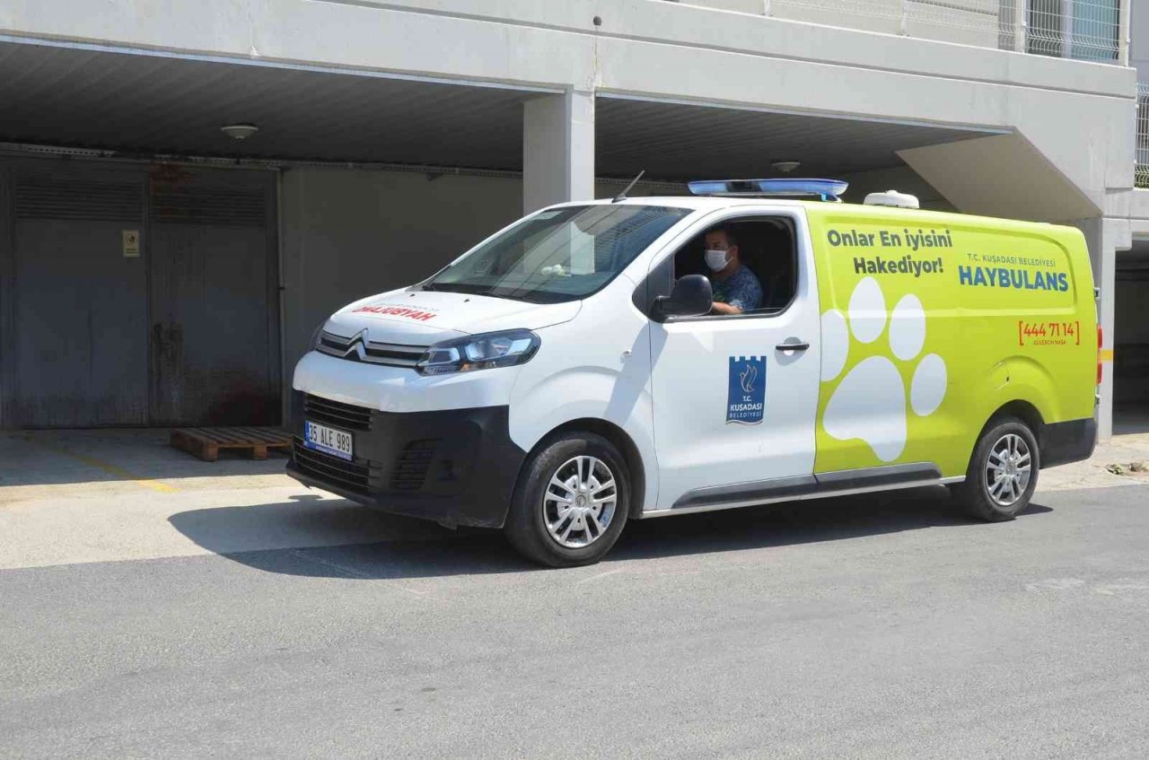 Kuşadası’nda 2022 yılında 4 bin 308 hayvana ev sahipliği yapıldı