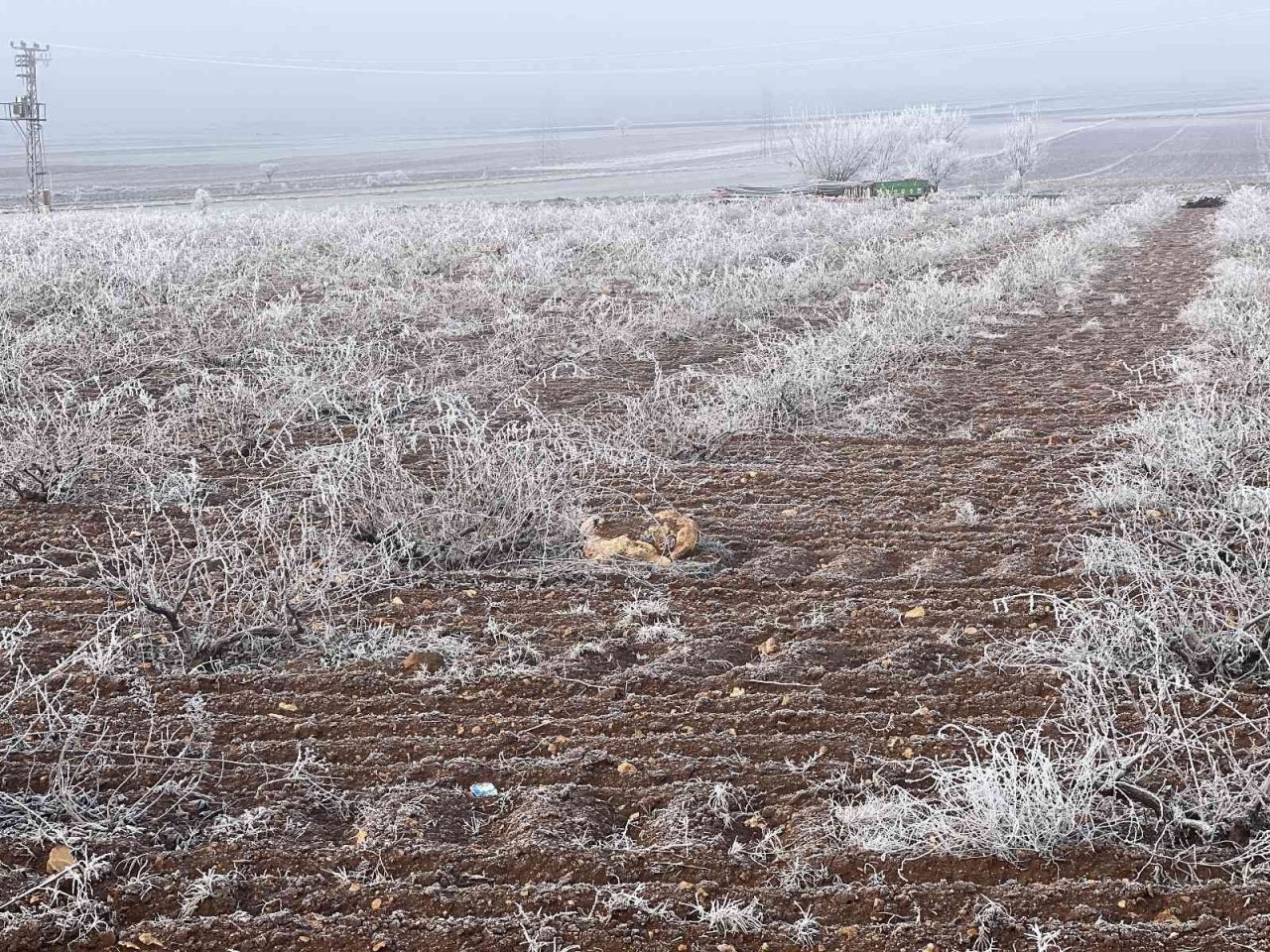 Mardin’de kırağı kartpostallık görüntüler oluşturdu