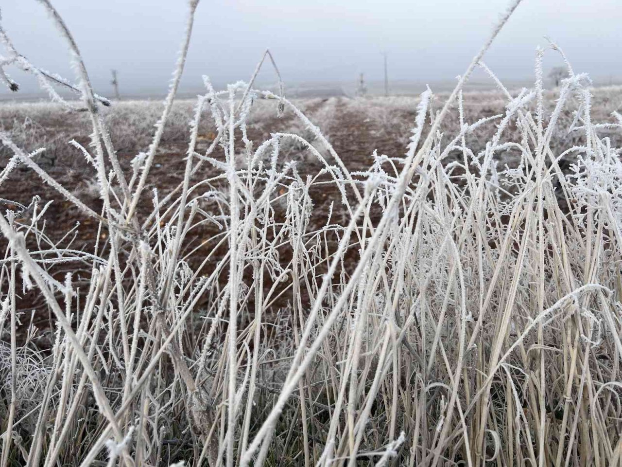 Mardin’de kırağı kartpostallık görüntüler oluşturdu