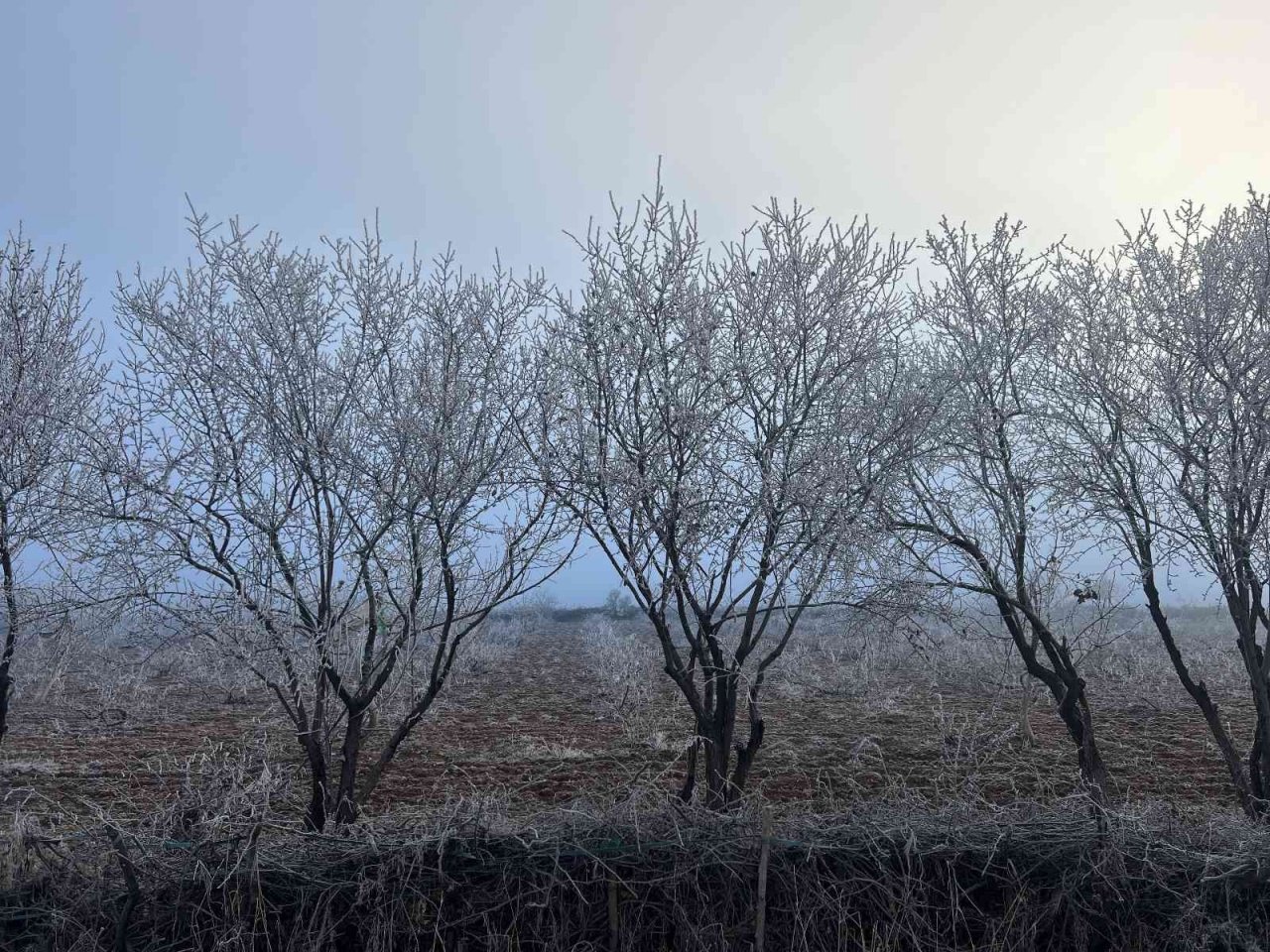 Mardin’de kırağı kartpostallık görüntüler oluşturdu