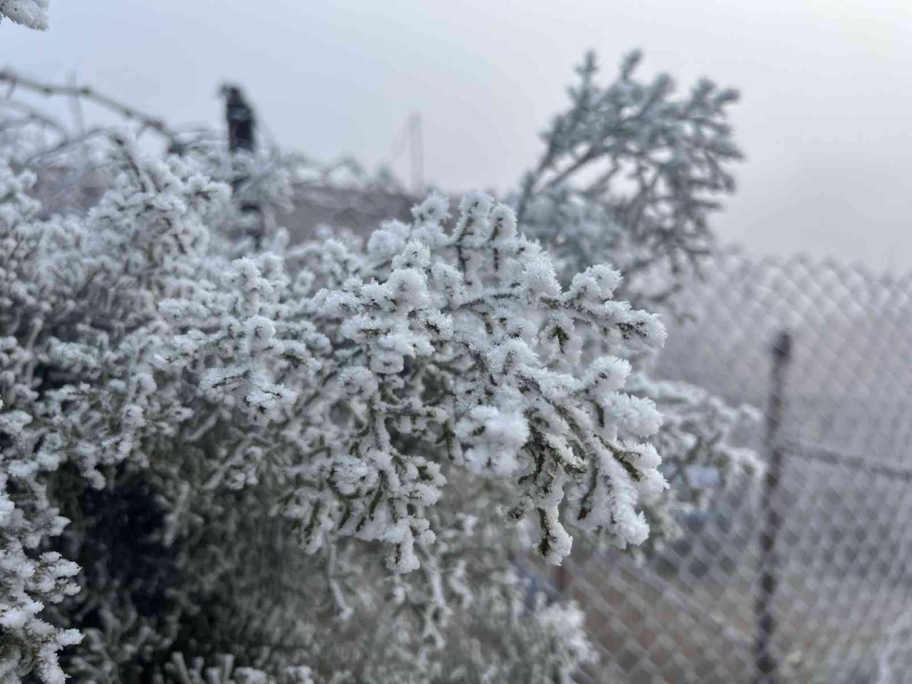Mardin’de kırağı kartpostallık görüntüler oluşturdu