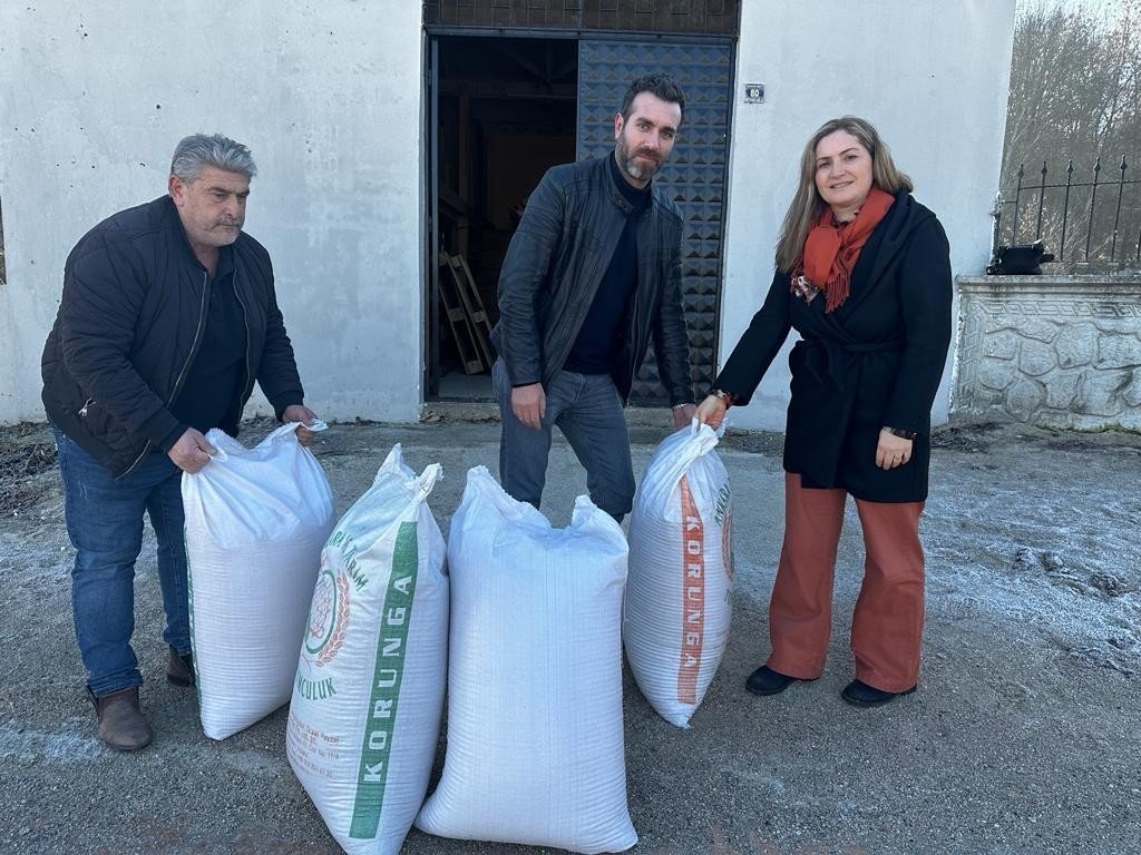 Samsun’da ‘çok yıllık yem bitkileri örnek ekim tarlaları’ kurulacak