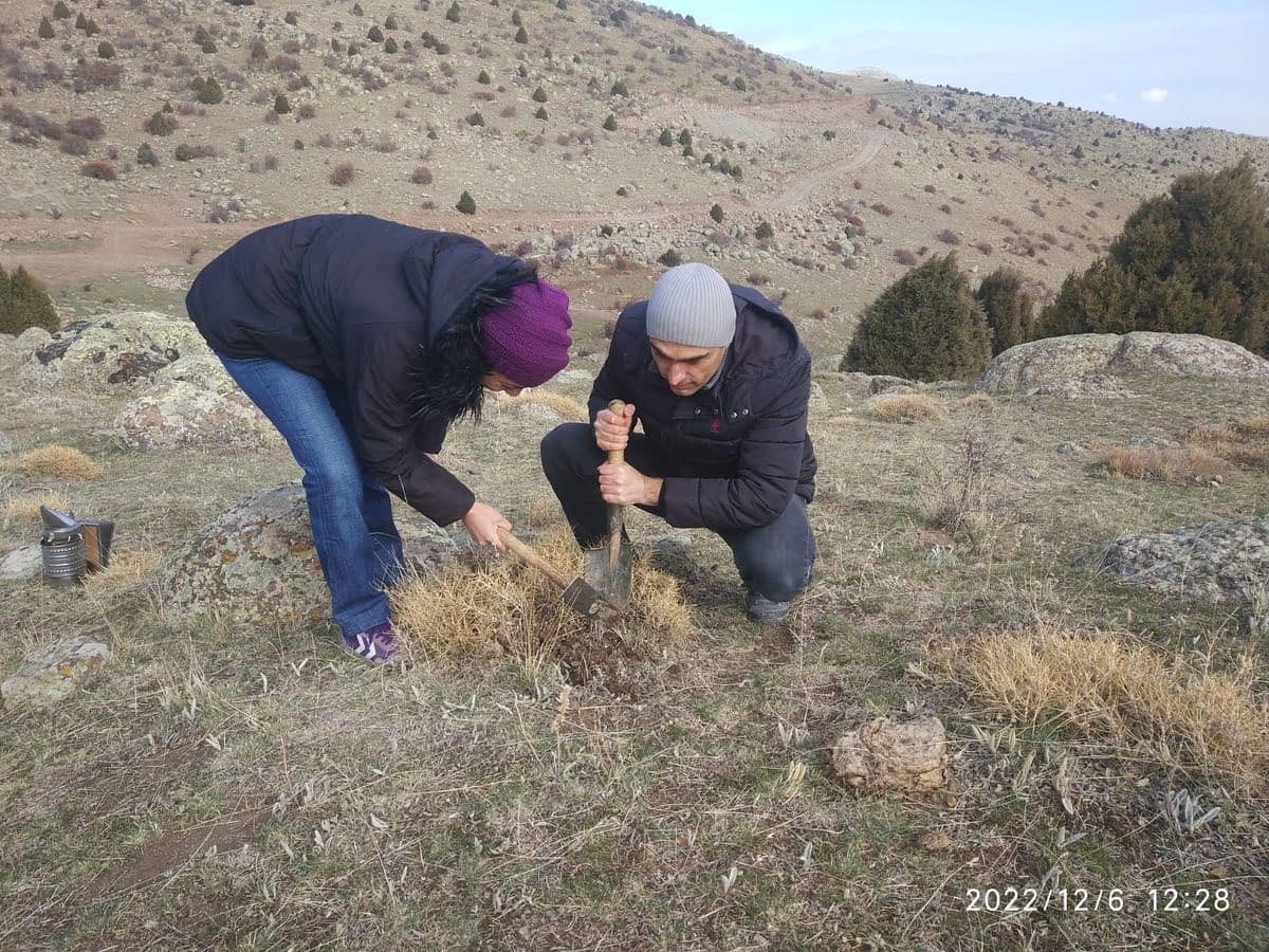 Süne ile mücadele çalışması kışında sürüyor
