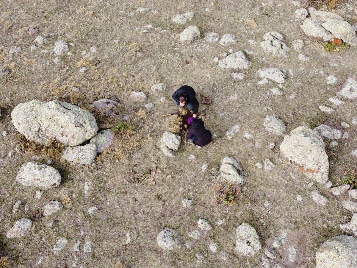 Süne ile mücadele çalışması kışında sürüyor