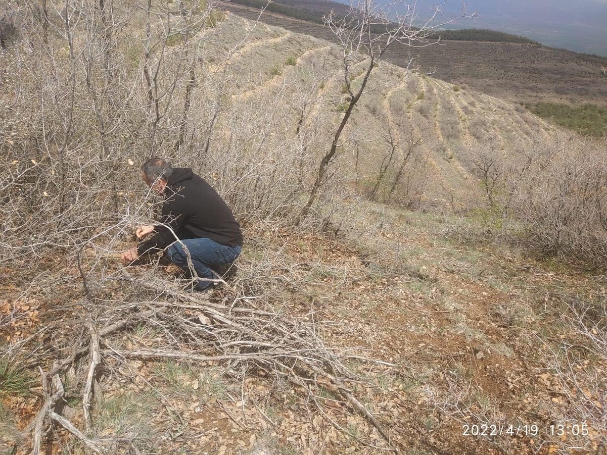 Süne ile mücadele çalışması kışında sürüyor