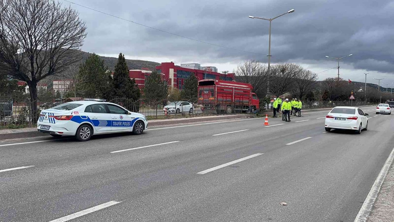 Canlı hayvan taşıyan kamyonet ağaca çarptı, 2 kişi yaralandı